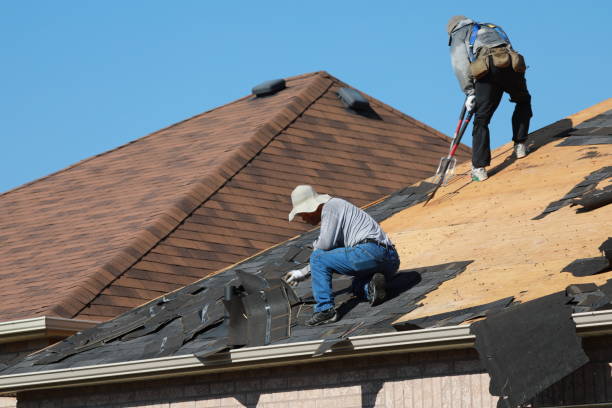 Best Commercial Roofing Services  in Utica, NE
