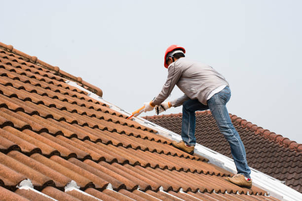 Best Metal Roofing Installation  in Utica, NE